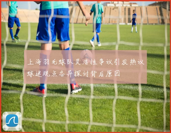 上海羽毛球队灵活性争议引发热议球迷观点各异探讨背后原因