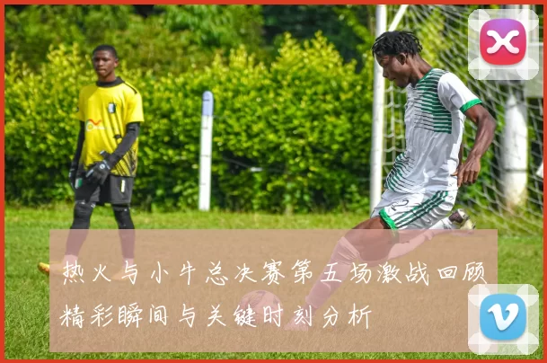 热火与小牛总决赛第五场激战回顾精彩瞬间与关键时刻分析