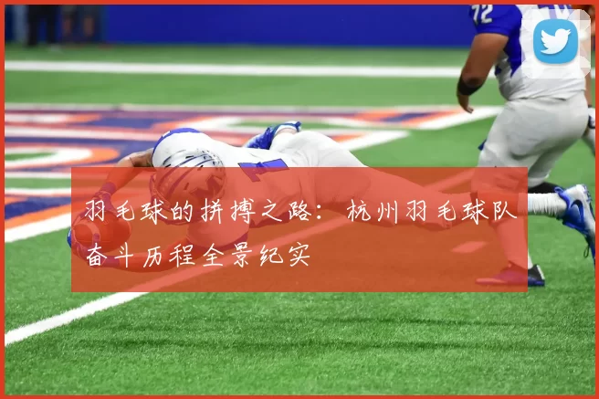 羽毛球的拼搏之路：杭州羽毛球队奋斗历程全景纪实