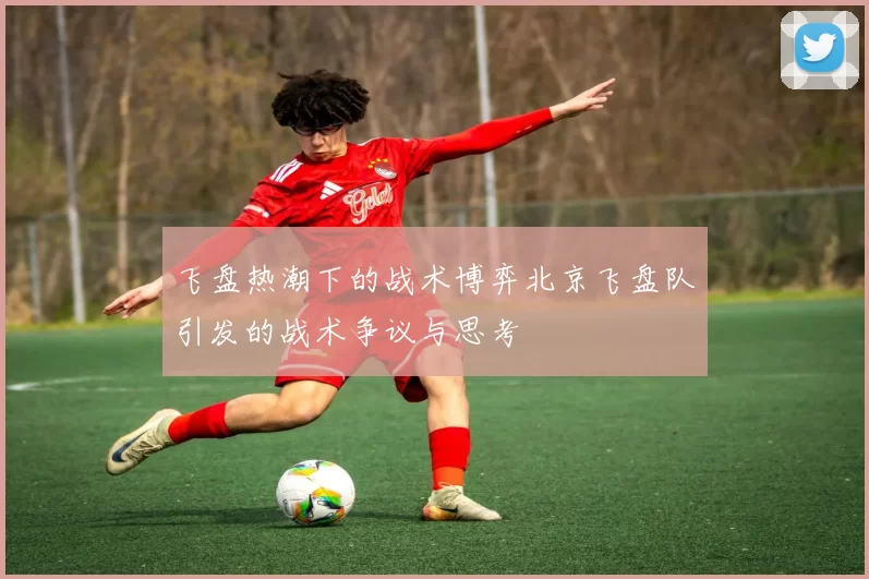飞盘热潮下的战术博弈北京飞盘队引发的战术争议与思考
