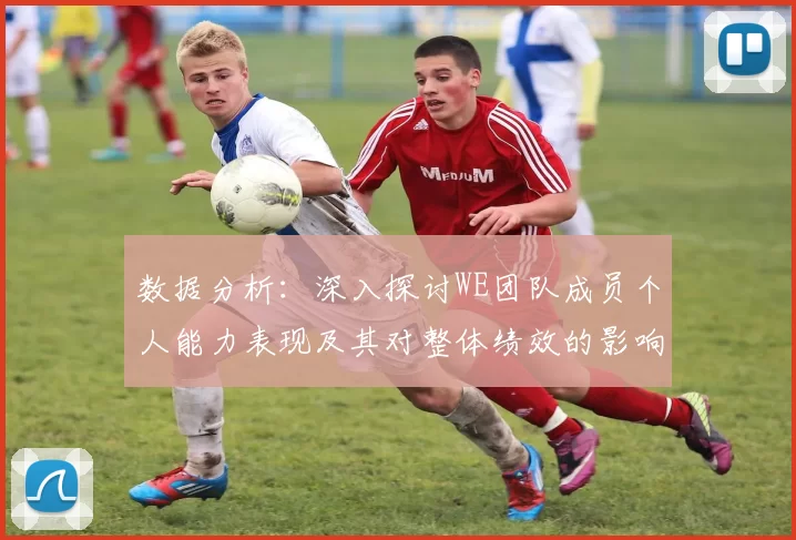 数据分析：深入探讨WE团队成员个人能力表现及其对整体绩效的影响