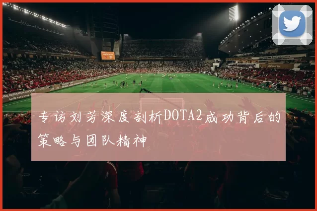 专访刘芳深度剖析DOTA2成功背后的策略与团队精神