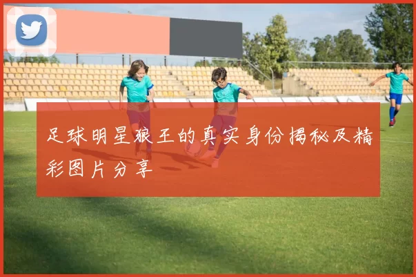 足球明星狼王的真实身份揭秘及精彩图片分享