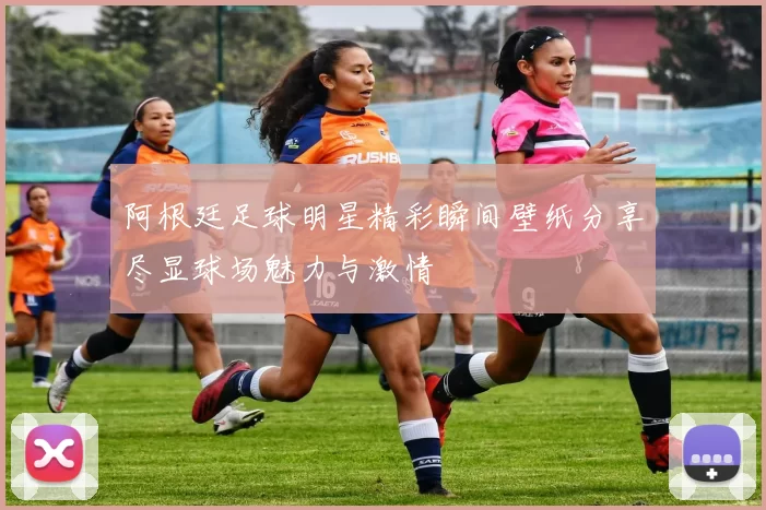 阿根廷足球明星精彩瞬间壁纸分享尽显球场魅力与激情