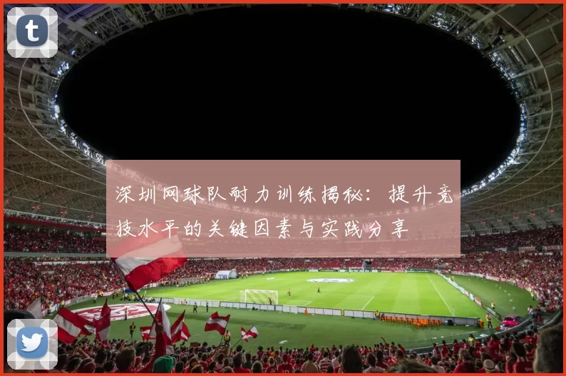 深圳网球队耐力训练揭秘：提升竞技水平的关键因素与实践分享