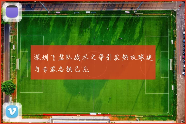 深圳飞盘队战术之争引发热议球迷与专家各执己见