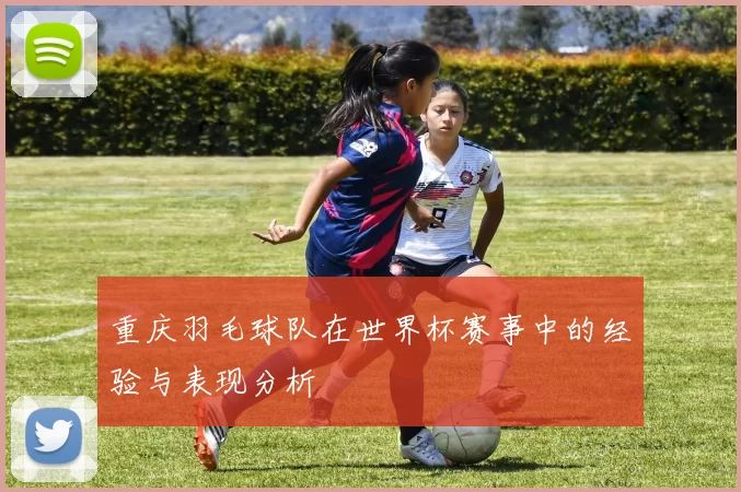 重庆羽毛球队在世界杯赛事中的经验与表现分析