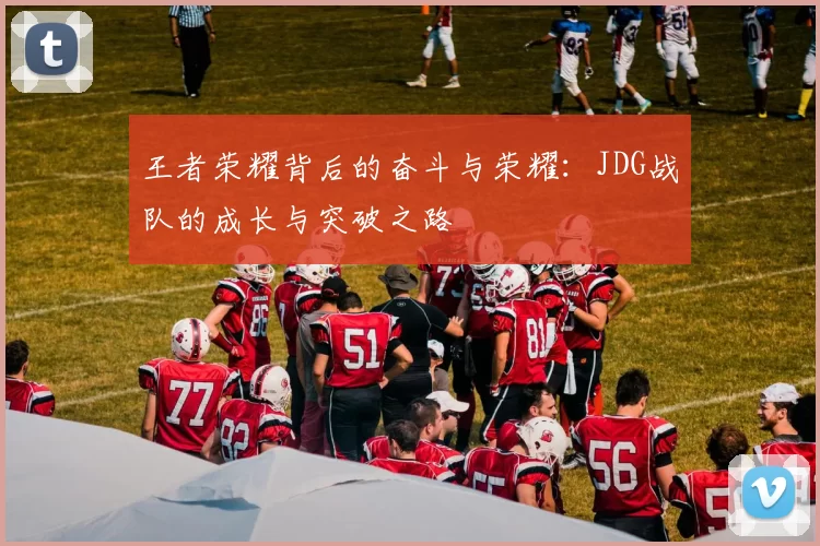 王者荣耀背后的奋斗与荣耀：JDG战队的成长与突破之路