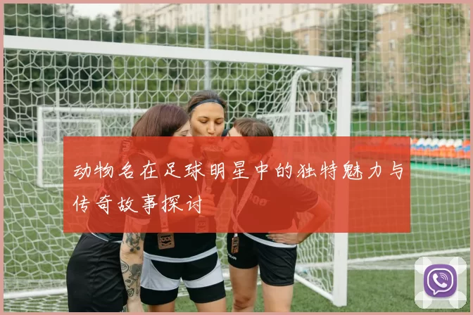 动物名在足球明星中的独特魅力与传奇故事探讨