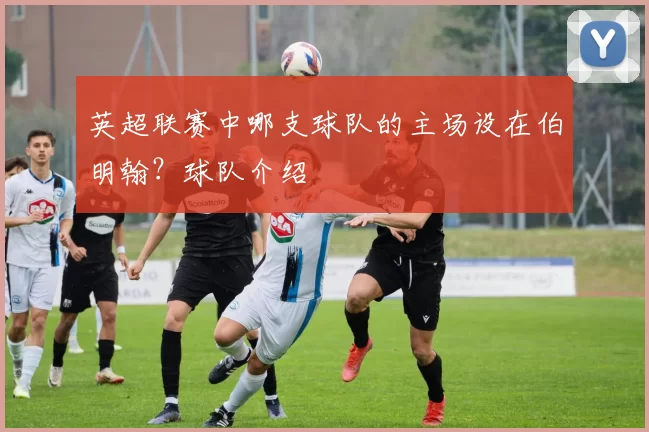 英超联赛中哪支球队的主场设在伯明翰？球队介绍