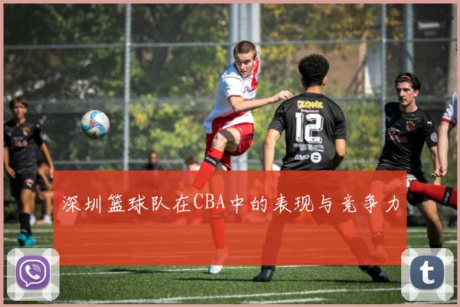 深圳篮球队在CBA中的表现与竞争力