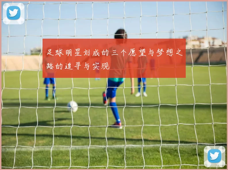 足球明星刘成的三个愿望与梦想之路的追寻与实现