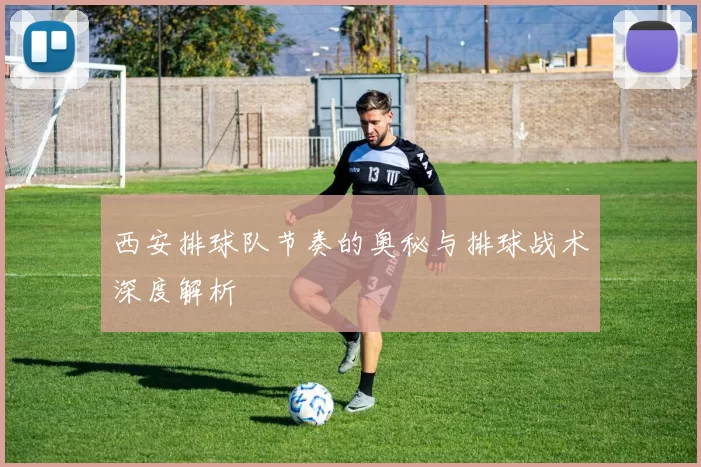 西安排球队节奏的奥秘与排球战术深度解析