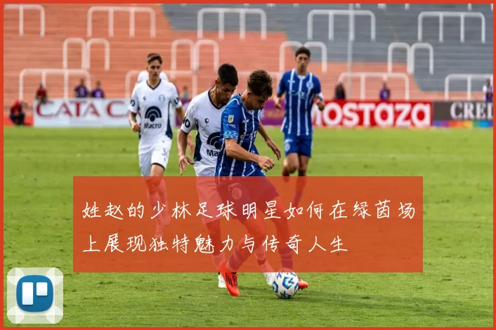 姓赵的少林足球明星如何在绿茵场上展现独特魅力与传奇人生