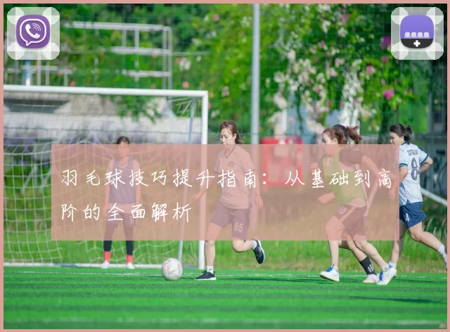 羽毛球技巧提升指南：从基础到高阶的全面解析