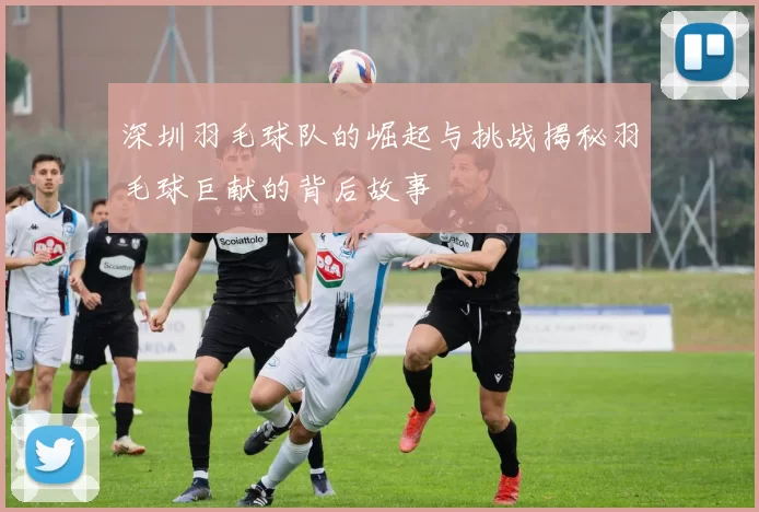 深圳羽毛球队的崛起与挑战揭秘羽毛球巨献的背后故事