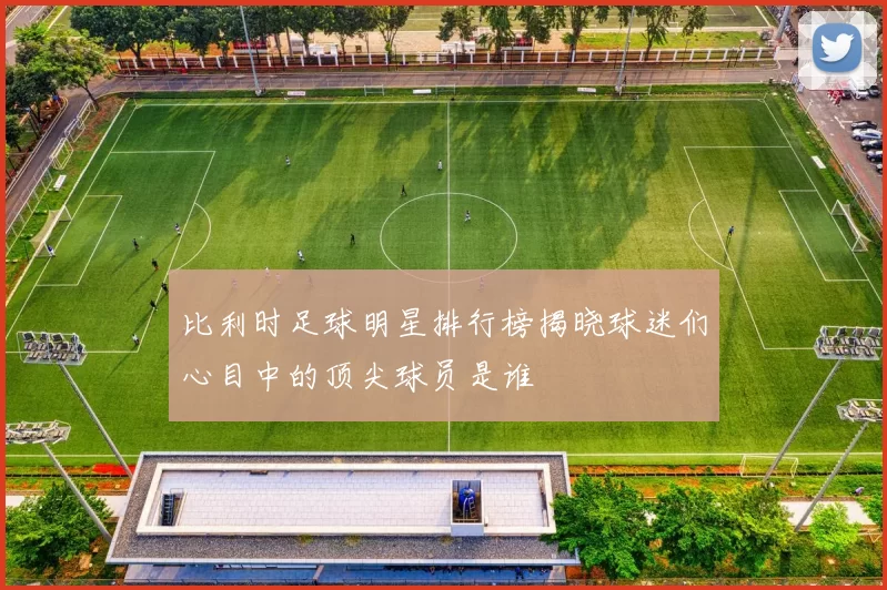 比利时足球明星排行榜揭晓球迷们心目中的顶尖球员是谁