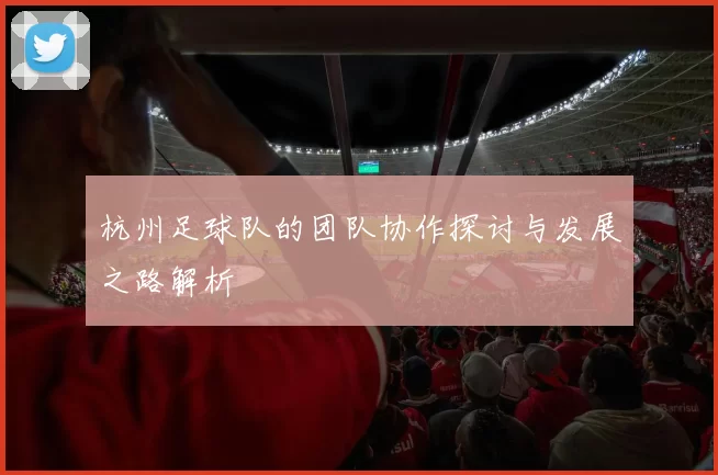 杭州足球队的团队协作探讨与发展之路解析