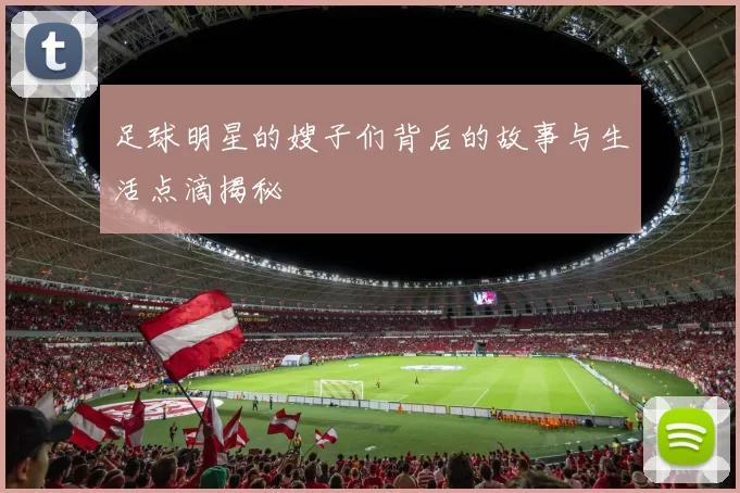 足球明星的嫂子们背后的故事与生活点滴揭秘