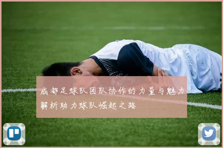 成都足球队团队协作的力量与魅力解析助力球队崛起之路