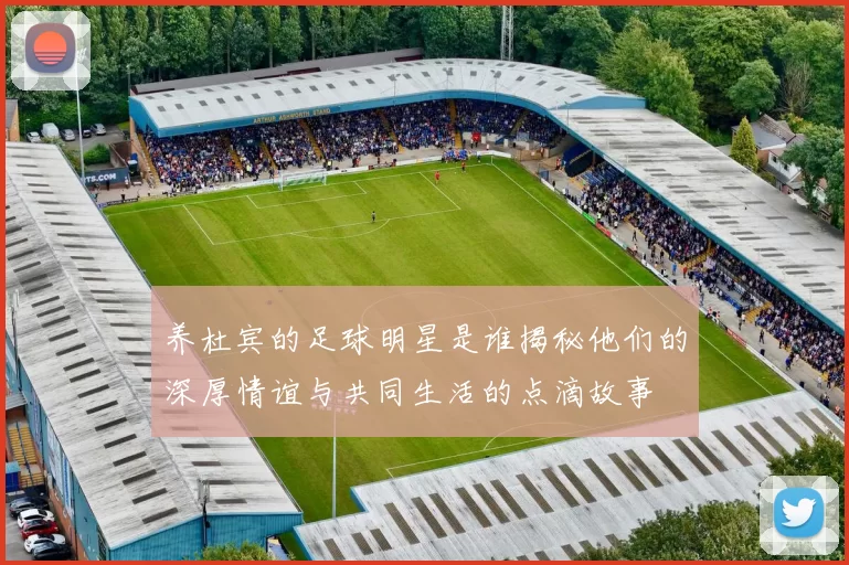 养杜宾的足球明星是谁揭秘他们的深厚情谊与共同生活的点滴故事
