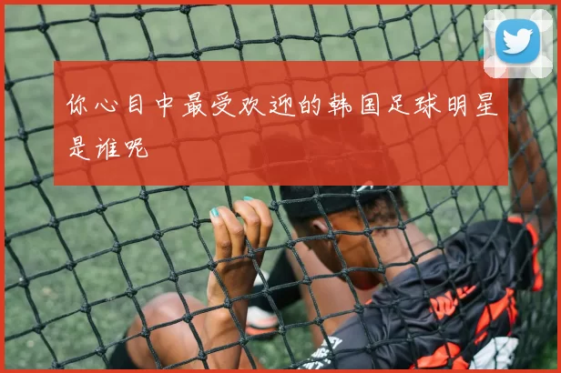 你心目中最受欢迎的韩国足球明星是谁呢