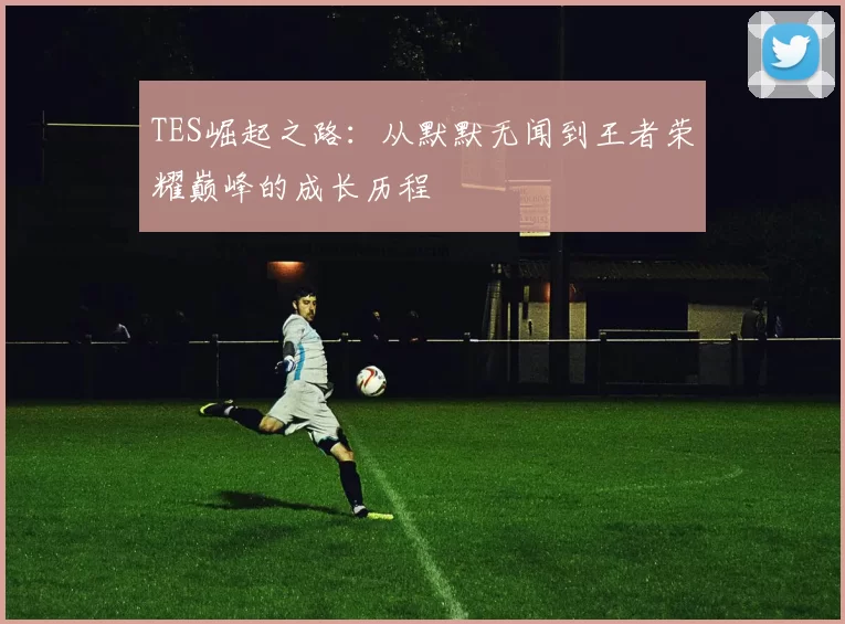 TES崛起之路：从默默无闻到王者荣耀巅峰的成长历程
