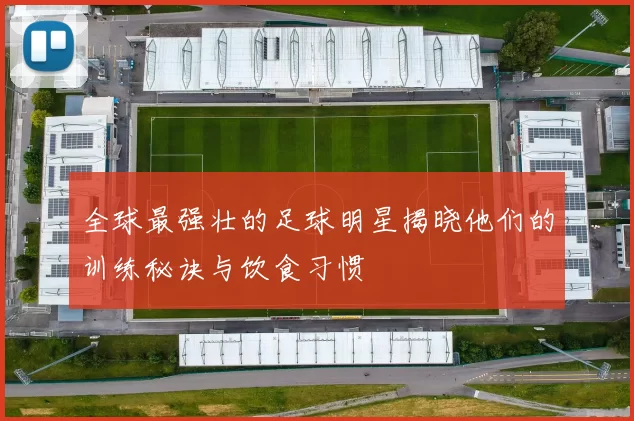全球最强壮的足球明星揭晓他们的训练秘诀与饮食习惯