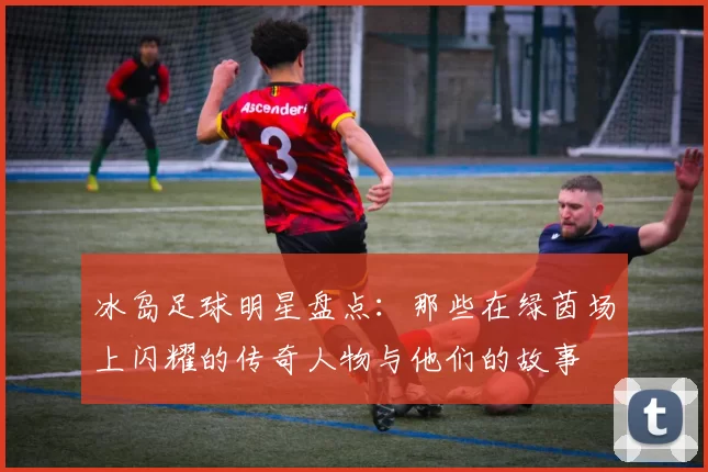 冰岛足球明星盘点：那些在绿茵场上闪耀的传奇人物与他们的故事