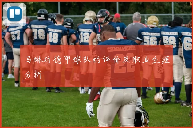 马琳对德甲球队的评价及职业生涯分析
