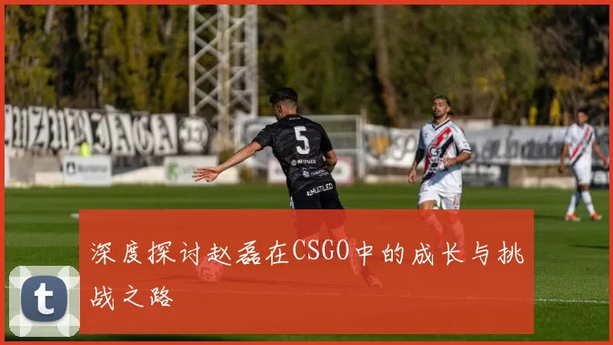 深度探讨赵磊在CSGO中的成长与挑战之路