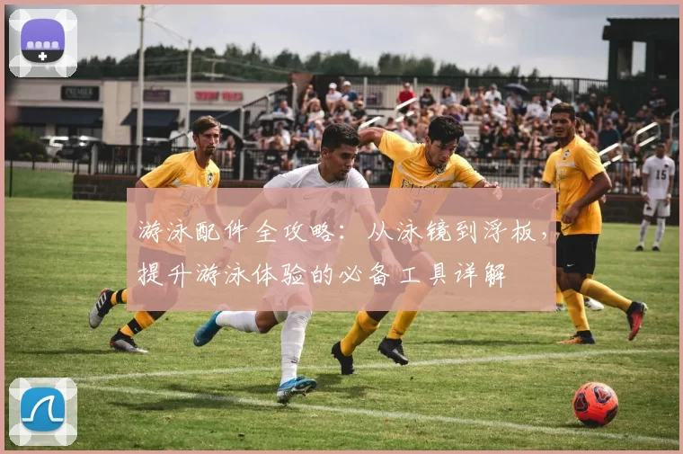 游泳配件全攻略：从泳镜到浮板，提升游泳体验的必备工具详解