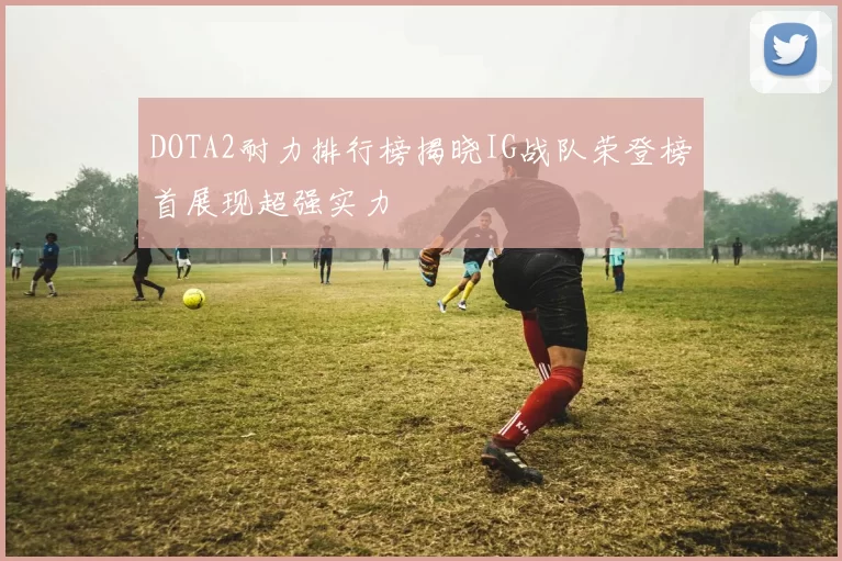 DOTA2耐力排行榜揭晓IG战队荣登榜首展现超强实力
