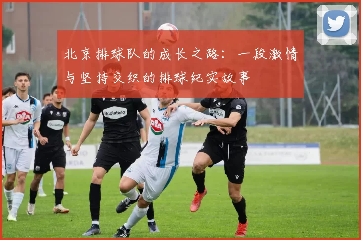 北京排球队的成长之路：一段激情与坚持交织的排球纪实故事