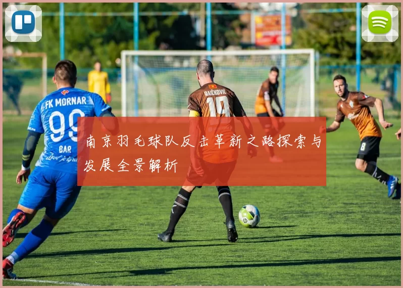 南京羽毛球队反击革新之路探索与发展全景解析